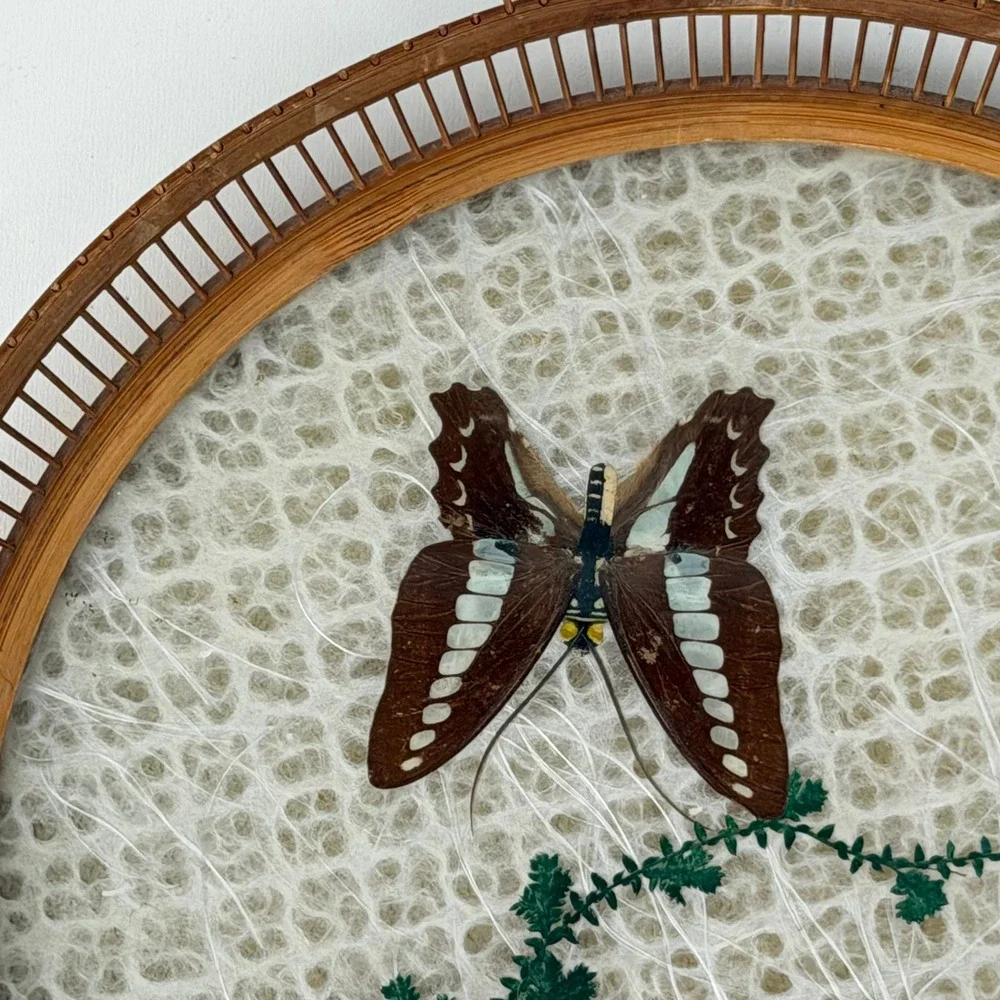 Vintage Tray Jetline Japan Rattan Bamboo Lucite Butterfly Floral‎ Boho Cottage